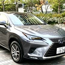 Lexus NX, 2019