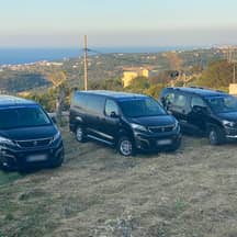 Metabus: Three Vans Peugeot Traveller Long (two) + Peugeot Rifter, 2019