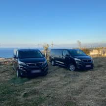 Metabus: Two Vans Peugeot Traveller Long (two), 2019