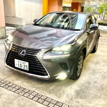 Lexus NX, 2019